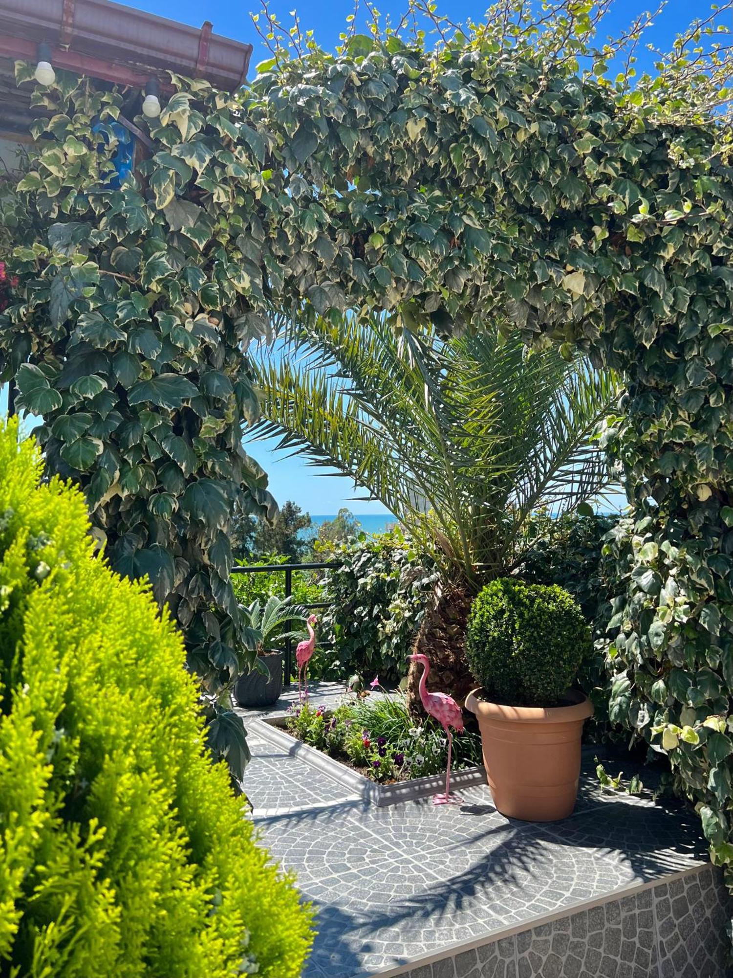 فندق Kemeni Garden باتومي المظهر الخارجي الصورة