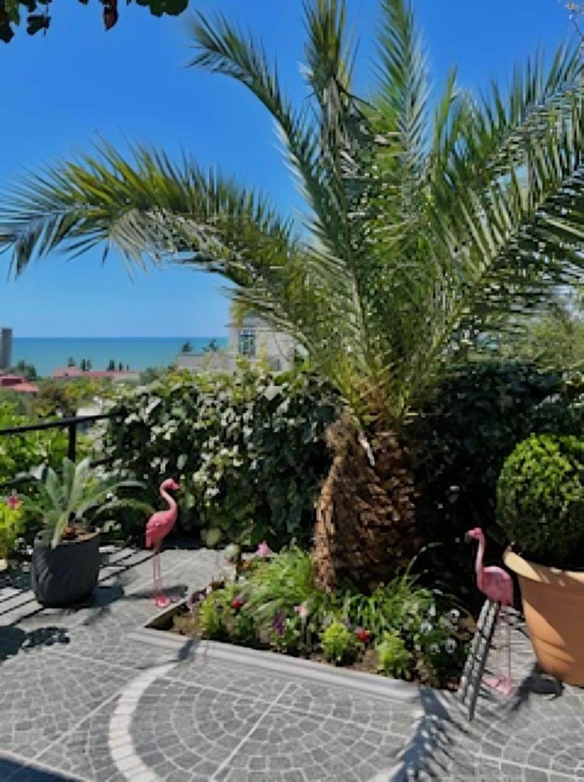 فندق Kemeni Garden باتومي المظهر الخارجي الصورة